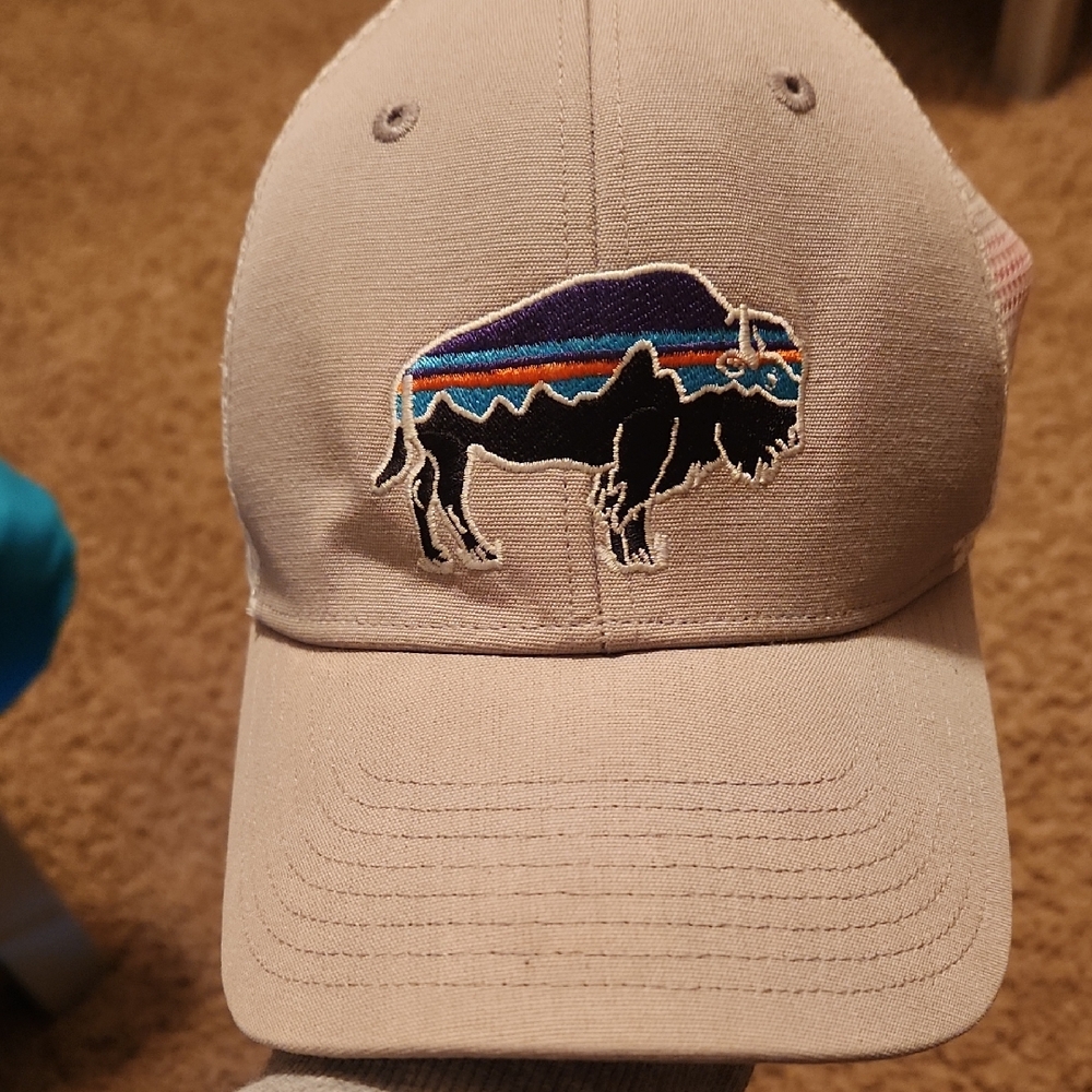 Patagonia White And Gray Mesh Cap With Colorful Buffalo